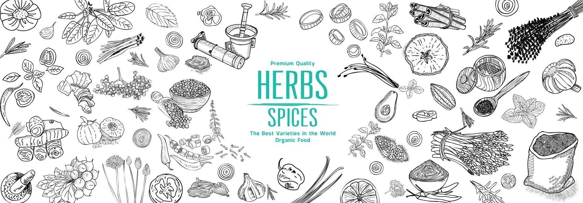 Herbs and Spices. Hand drawn vector illustration set. Top view frame. Engraved design. Spice and herbs black and white design. Card design.