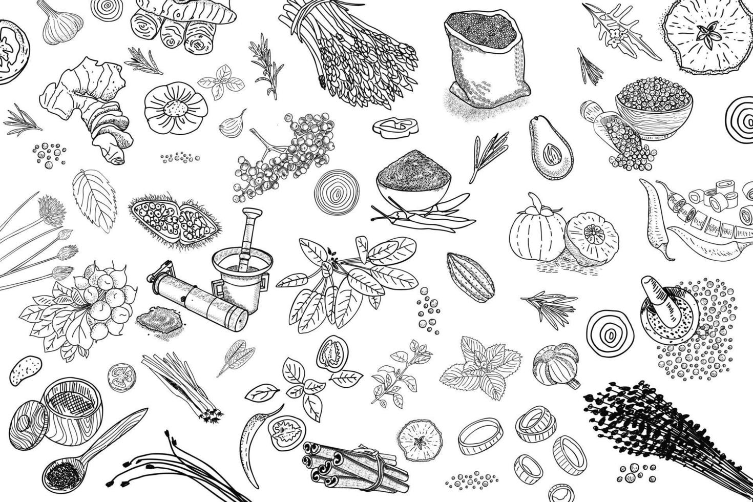 Herbs and Spices. Hand drawn vector illustration set.