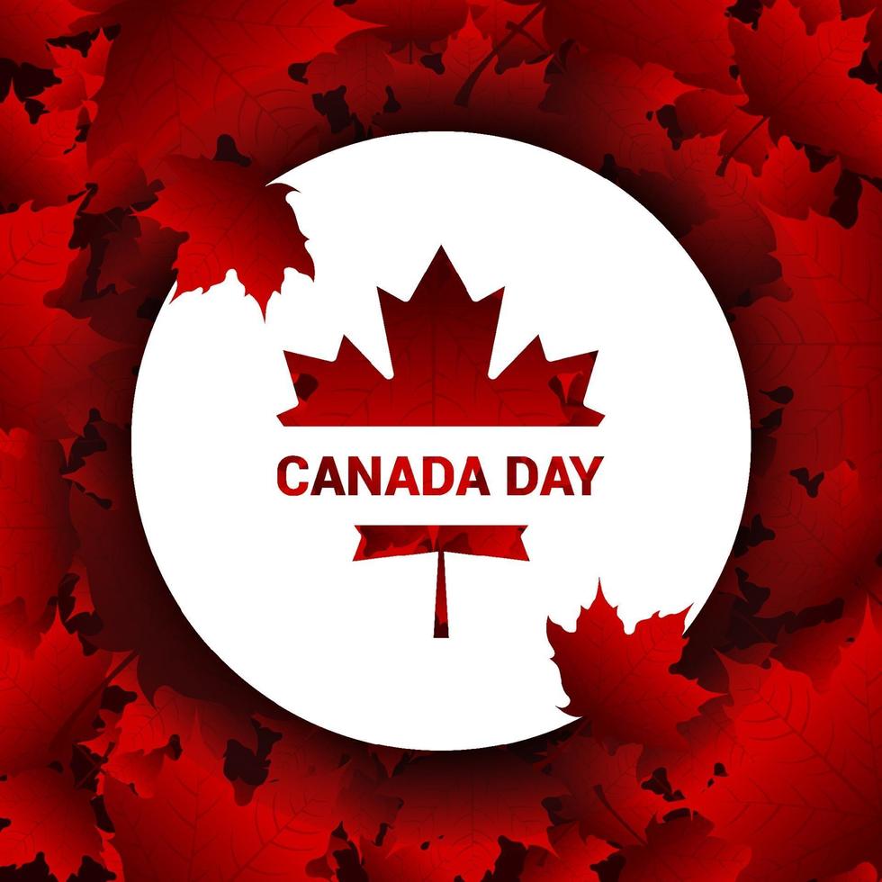 Canada Day Gradient Falling Maple Leaves Background Design vector