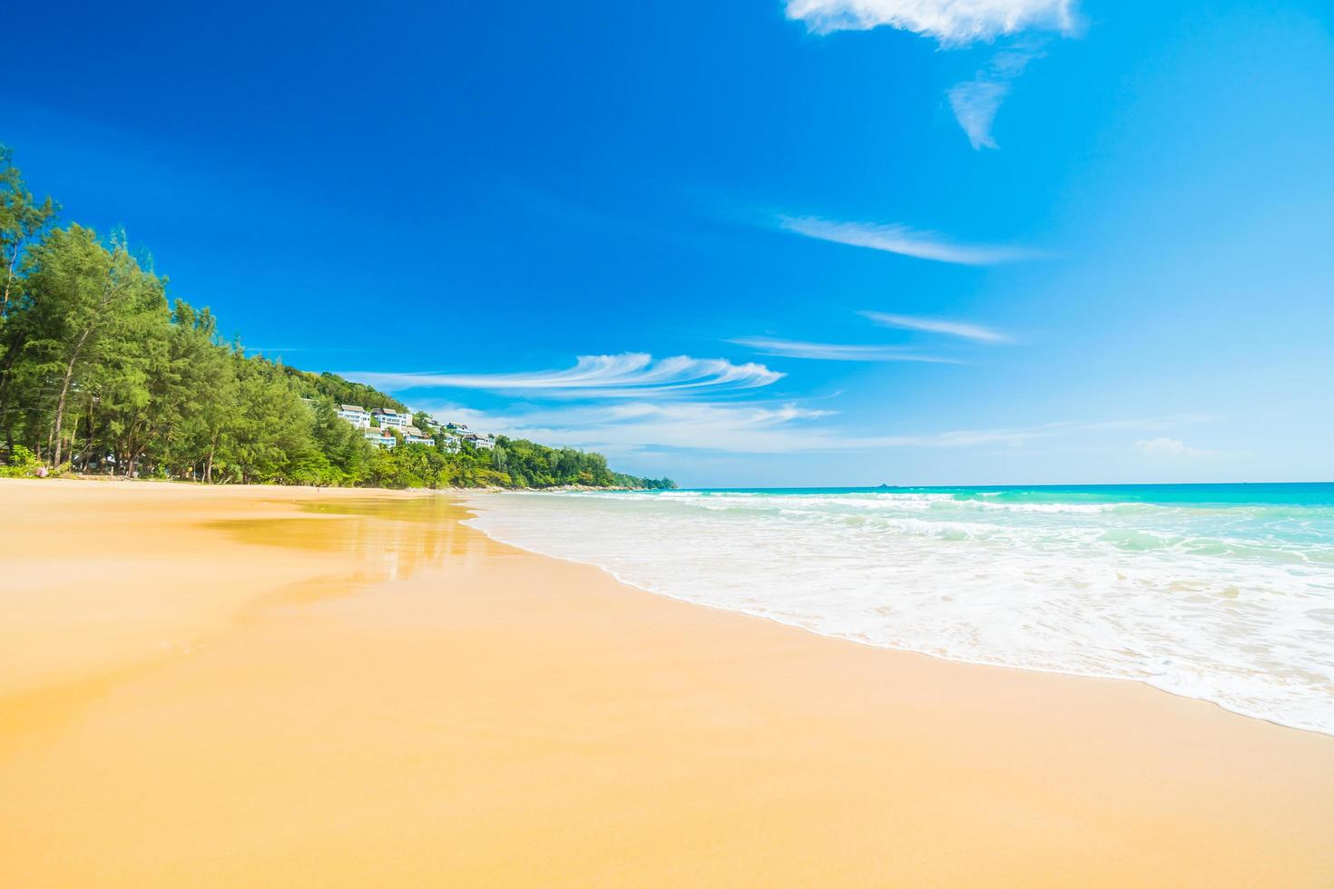 Beach and sea photo