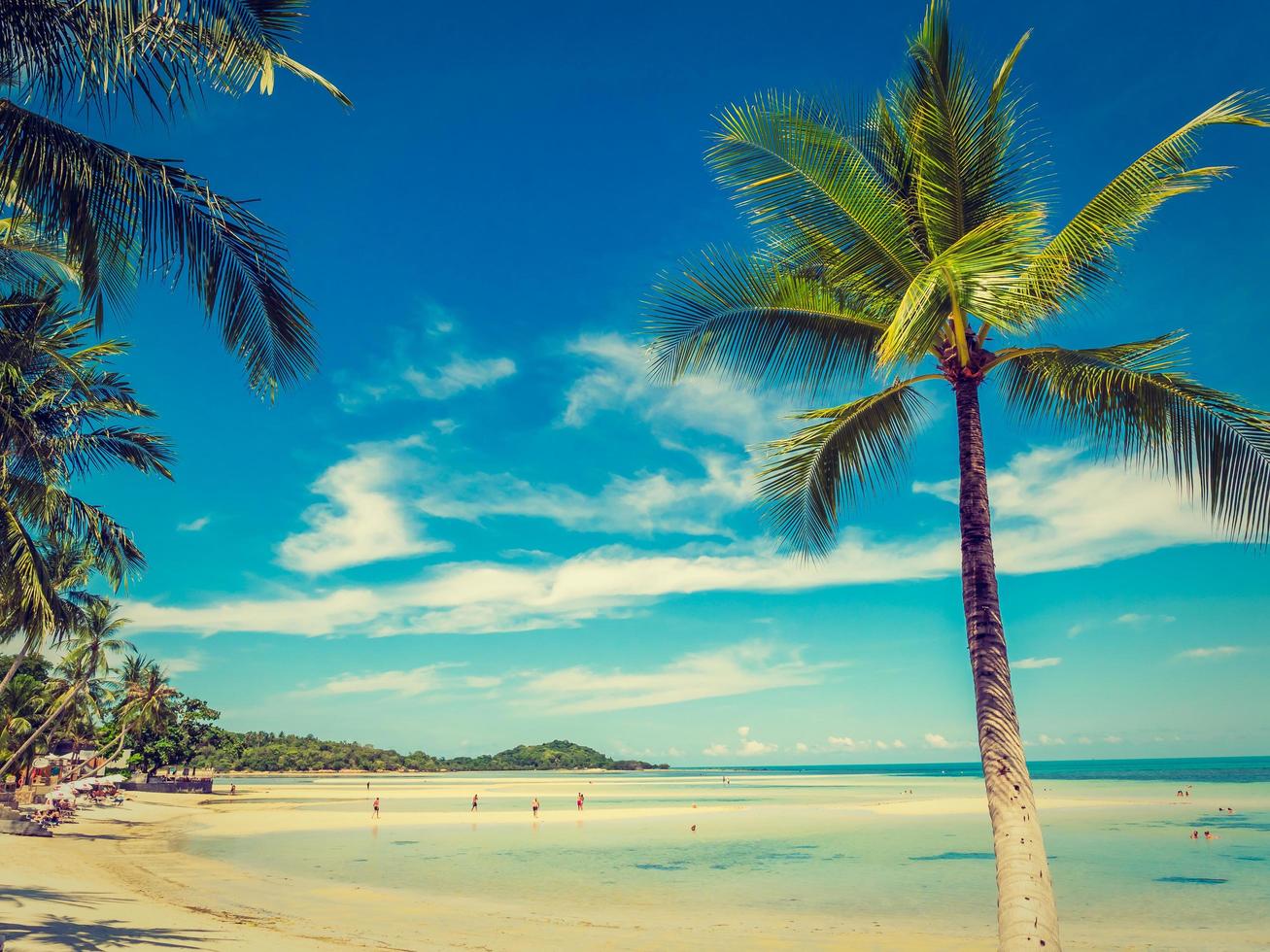 Beautiful tropical beach and sea with coconut palm tree photo