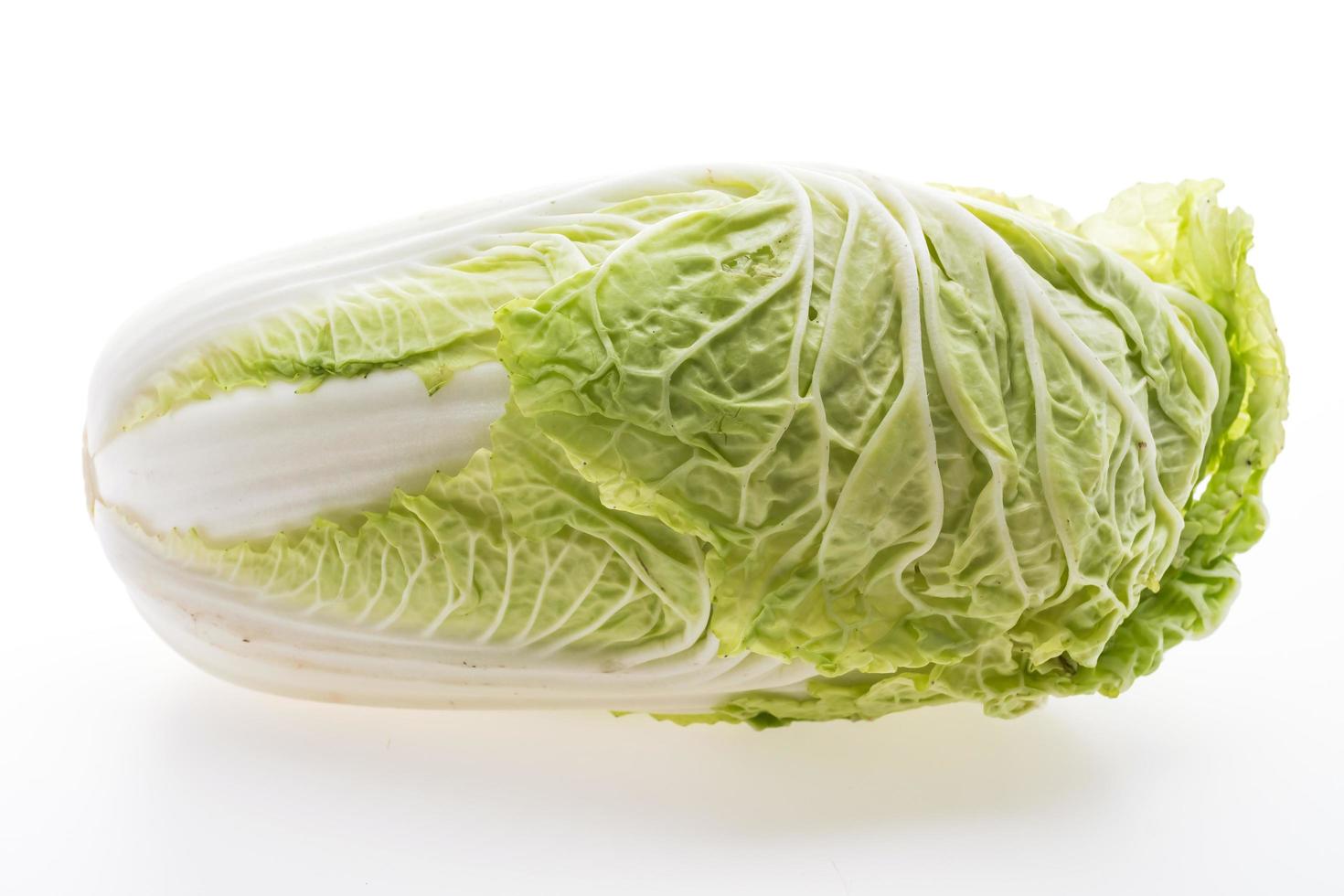 White lettuce or White cabbage photo