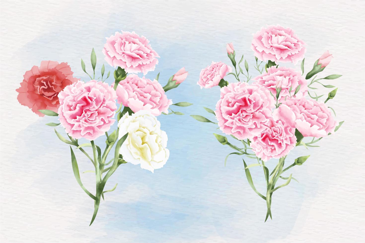 Watercolor carnation flowers illustration vector