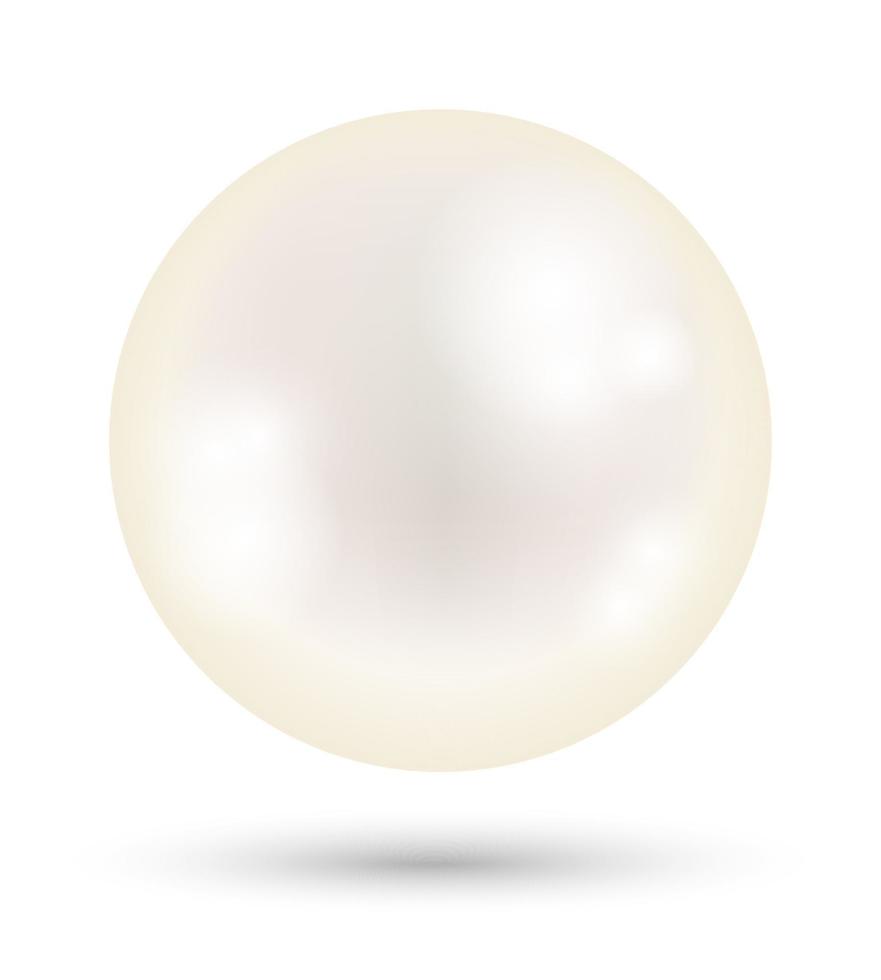 una perla blanca brillante sobre un fondo blanco vector