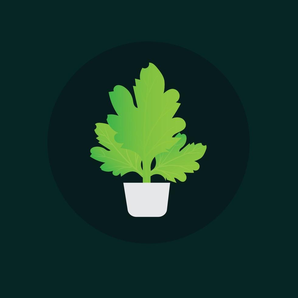 Houseplant in pots.house decor tree illustration or green indoor tree illustration vector