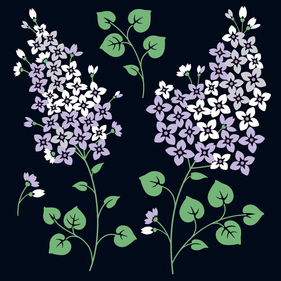 flores lilas. Aislado en un fondo negro vector