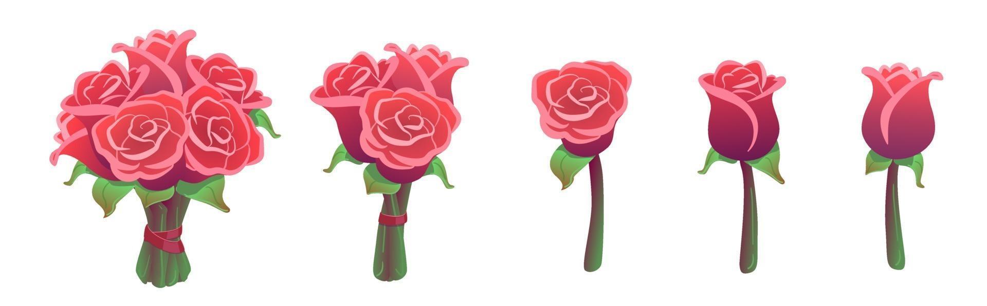 Hermoso conjunto de ramos de rosas rojas aisladas sobre fondo blanco. paquete de pegatinas de regalo de San Valentín. flores grandes, pequeñas y sencillas. colección floral de boda. ilustración vectorial. amor, elementos de diseño de romance vector