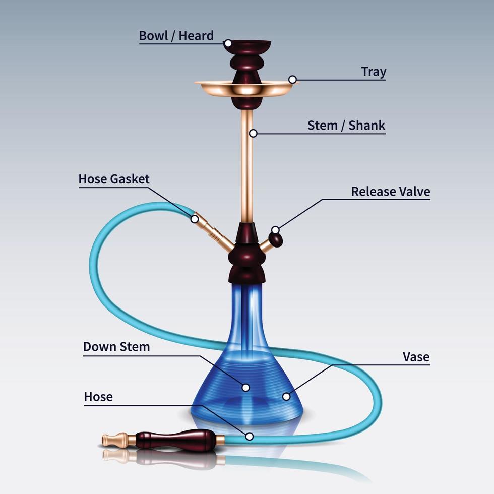 Ilustración de vector de infografía realista de cachimba