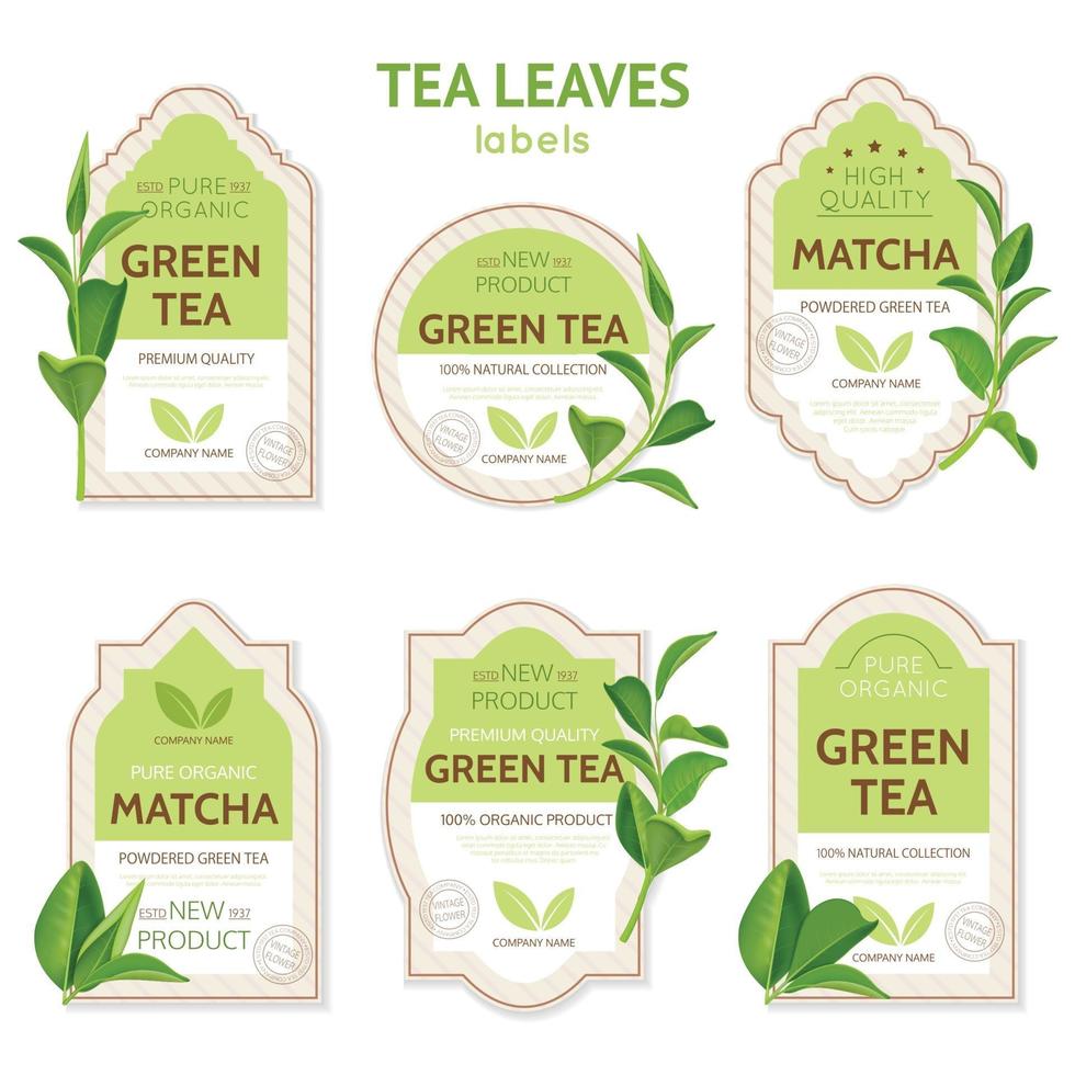 Ilustración de vector de etiquetas de hojas de té realista