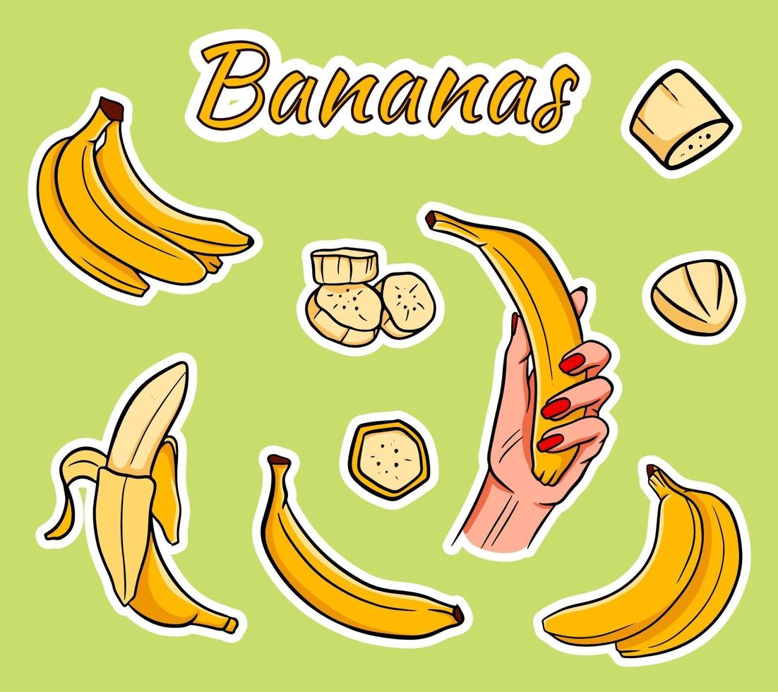 Vector set of cartoon yellow bananas.