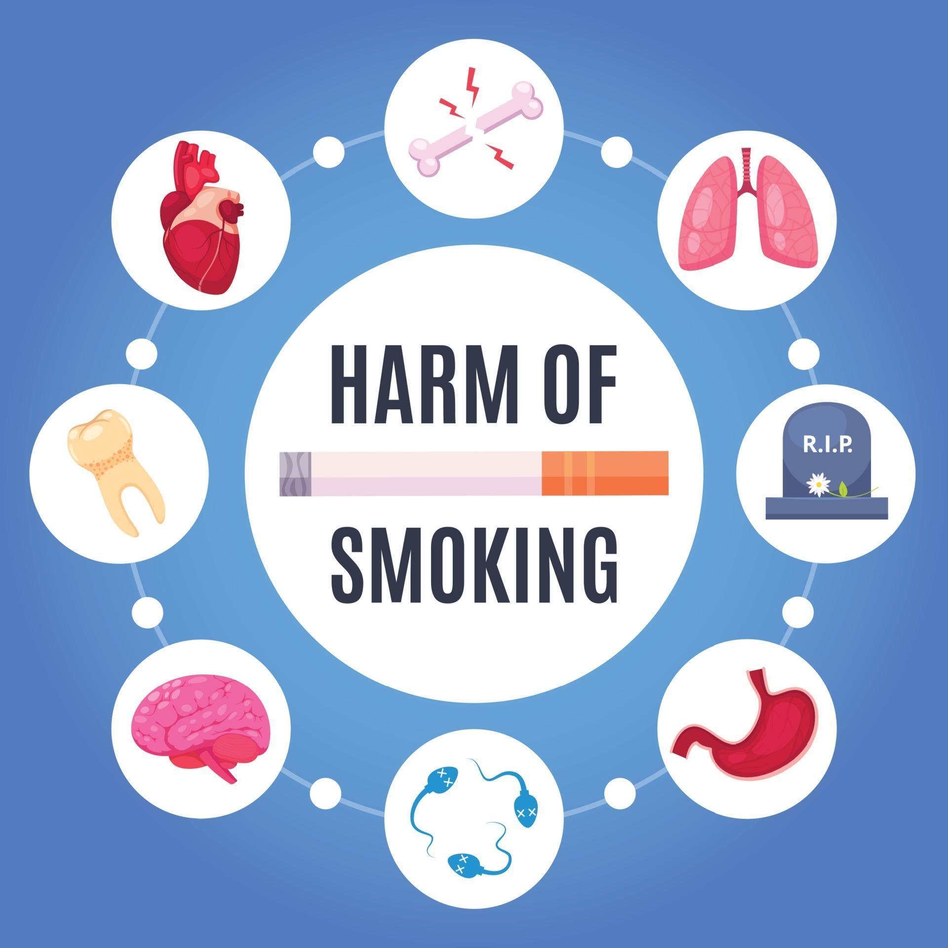 Harm Of Smoking Design Concept Vector Illustration 2273723 Vector Art