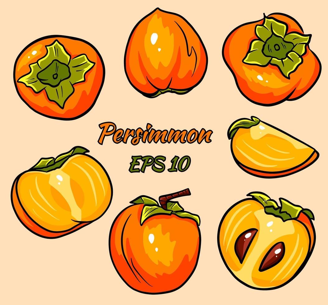 Set of bright vector drawings of persimmon.