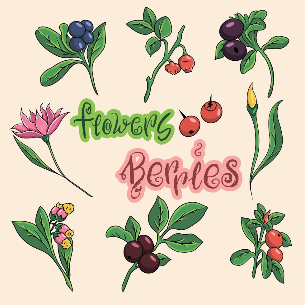 conjunto de flores de dibujos animados. iconos de bayas y flores. vector