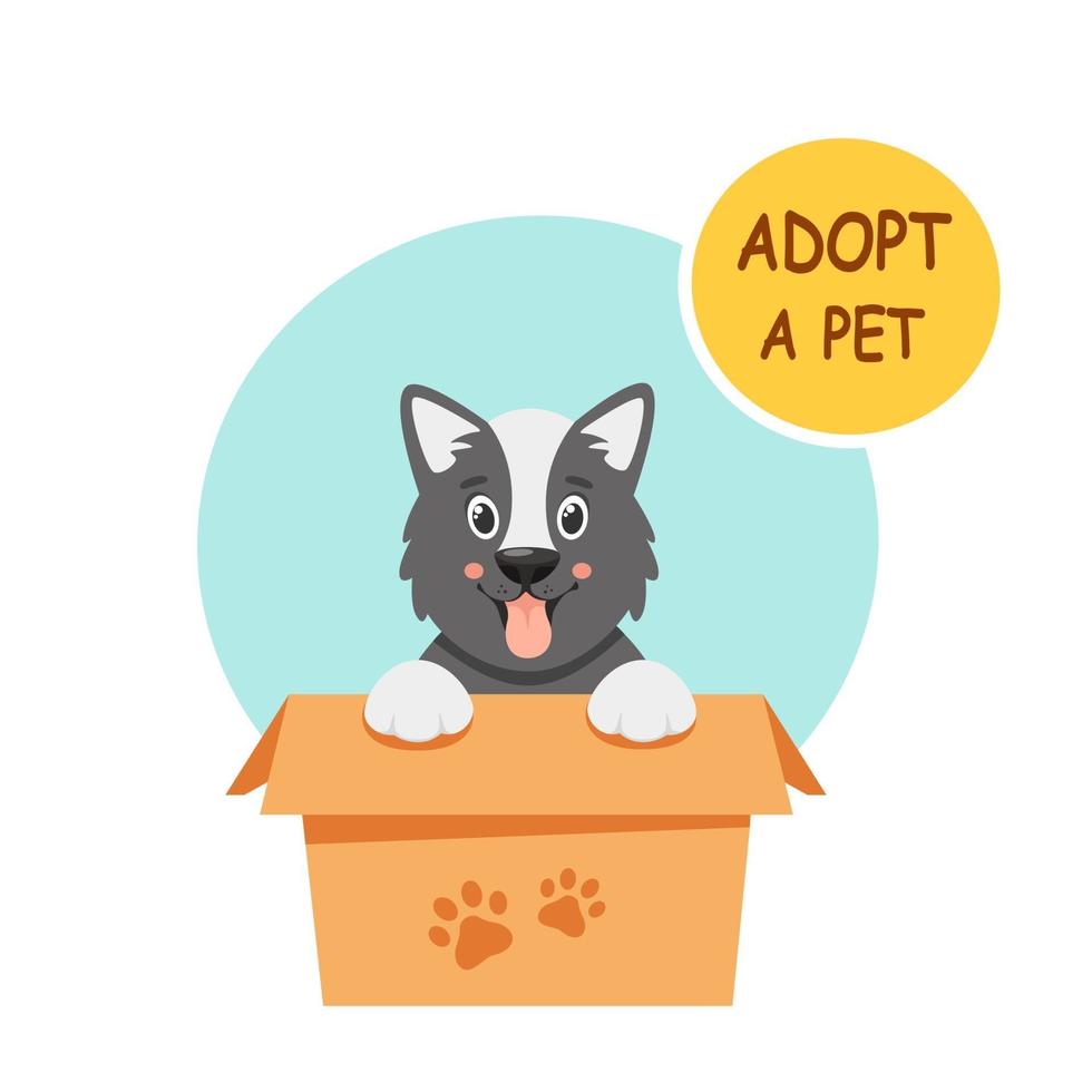 Adopt a pet. Cute puppy in the box. Vector illustration in flat style.