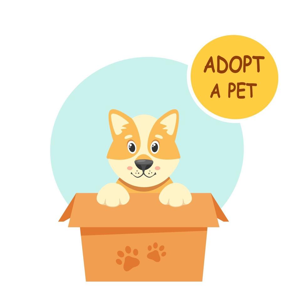 Adopt a pet. Cute puppy in the box. Vector illustration in flat style.