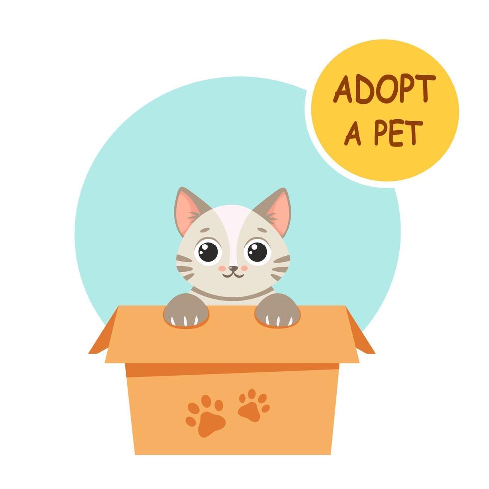 Adopt a pet. Cute kitten in the box. Vector illustration in flat style.