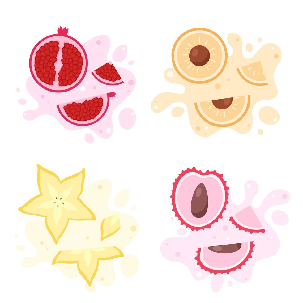 Fruits splash. Exotic and tropical fruits carambola, litchi, longan, pomegranate. Vector illustration
