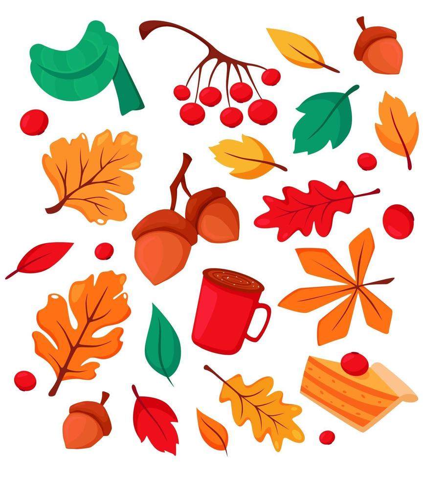 Autumn elements acorns, cup of coffee, fall leaves, rowanberry, viburnum, scarf, pumpkin pie. Vector illustration.