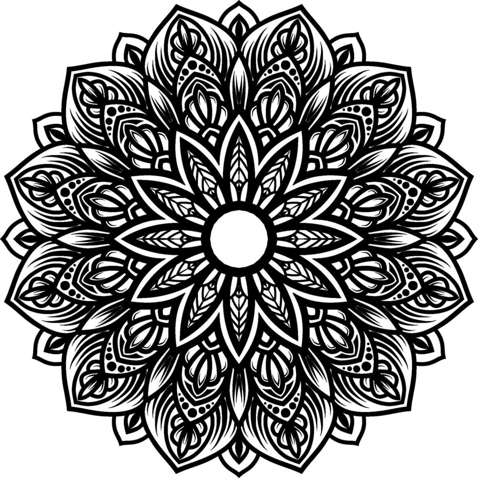 Circular pattern mandala art vector