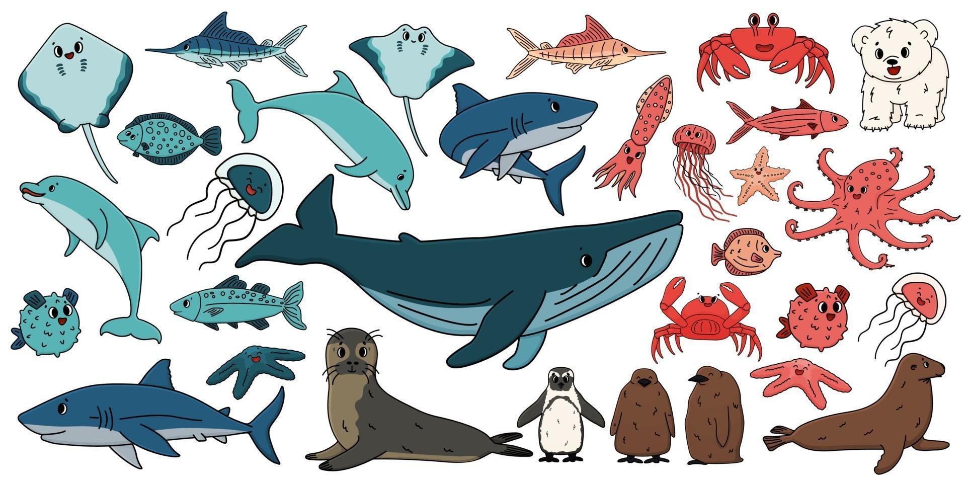 Big set of vector cartoon outline isolated sea ocean north animals. Doodle whale, dolphin, shark, stingray, jellyfish, fish, stars, crab, king Penguin chick, octopus, fur seal, polar bear cub for book