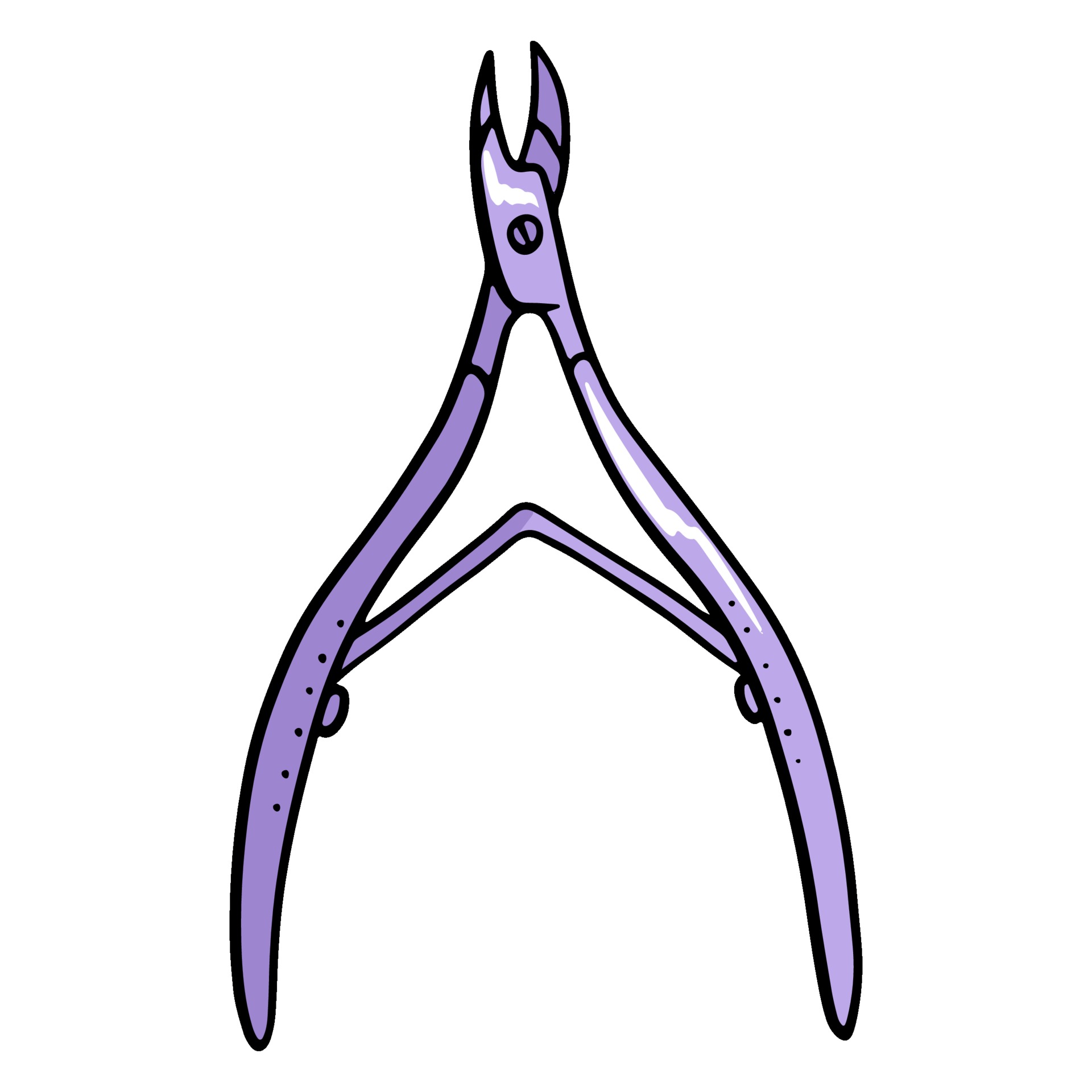 Nippers are necessary for nail processing for manicure or pedicure