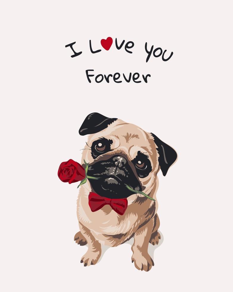lema de amor con perro pug de dibujos animados en pajarita con rosa en la boca ilustración vector