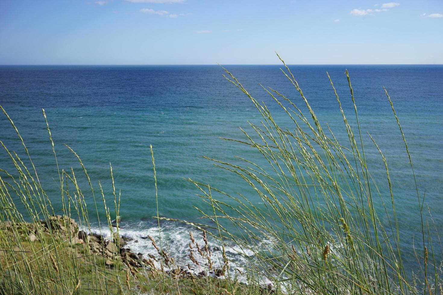 Grass and field overlooking a beach next to a body of water with cloudy blue sky photo