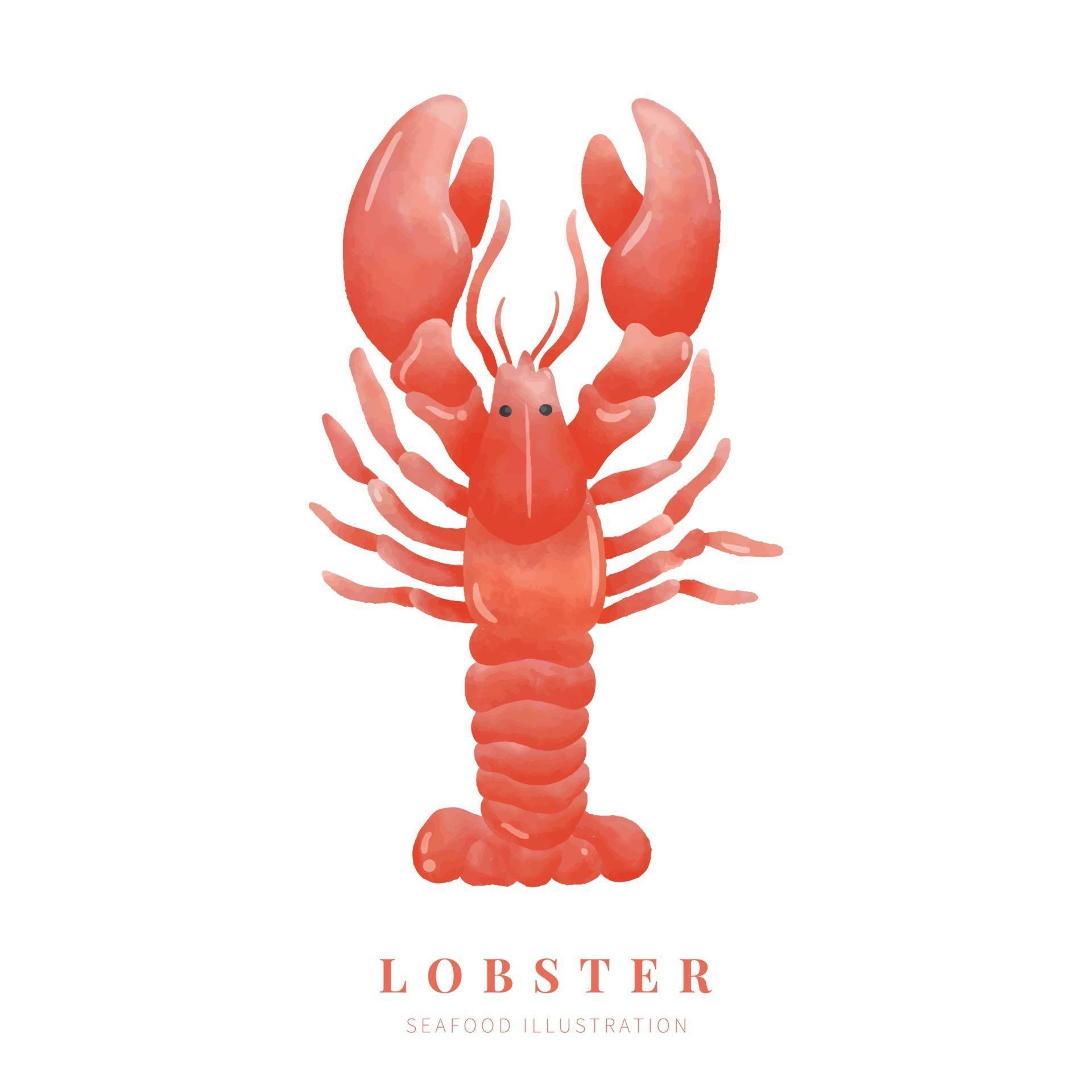 Watercolor lobster on white background. Digital paint. Vector