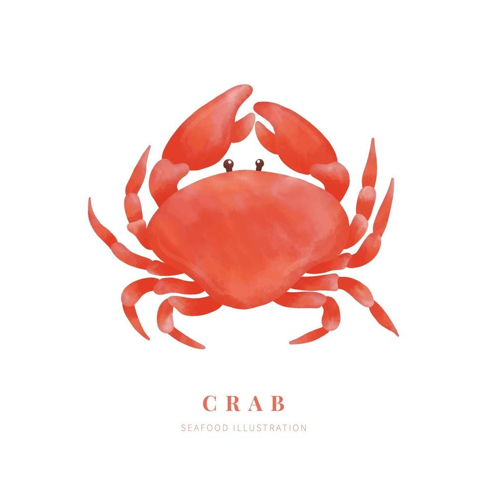 Watercolor crab on white background. Digital paint. Vector illustration.