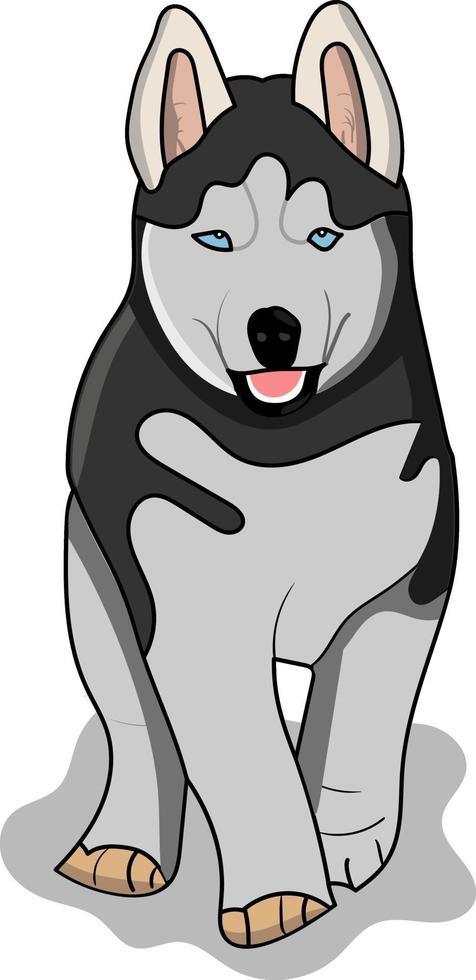 plano husky perfecto para proyecto de diseño vector