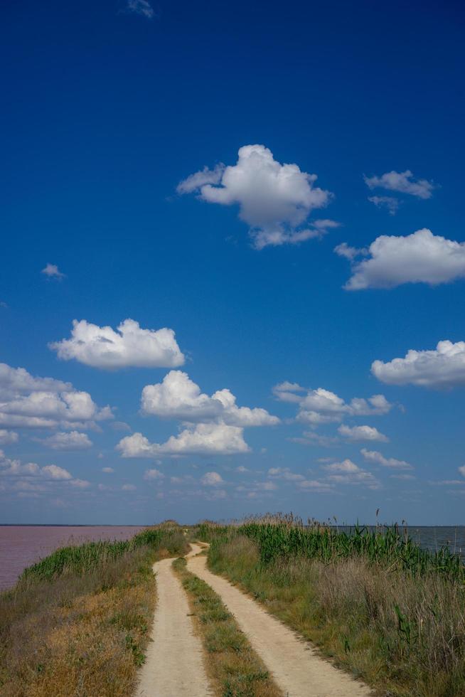 Landscape of a dirt road in a field next to Lake Sasyk-Sivash with a cloudy blue sky photo