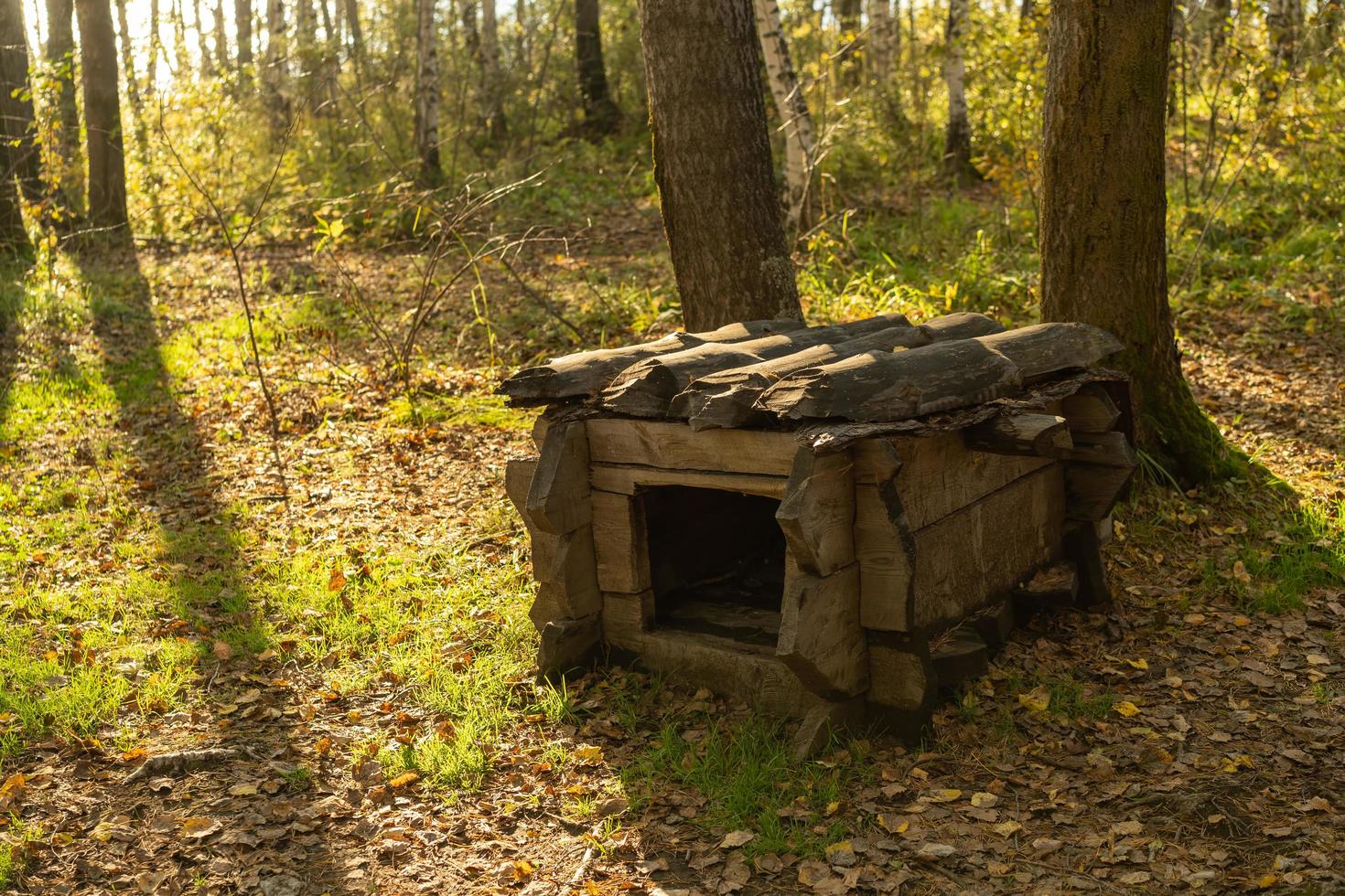 Wooden doghouse among trees in daylight photo