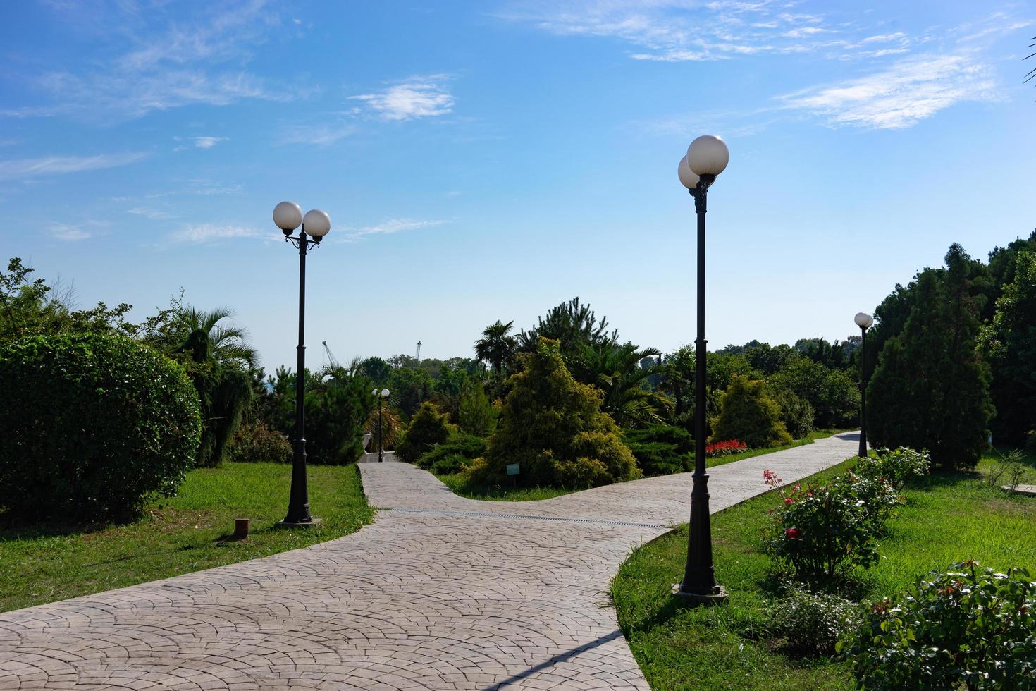 Acera de ladrillo, farolas y árboles con un nublado cielo azul en el parque de las culturas del sur en Sochi, Rusia foto