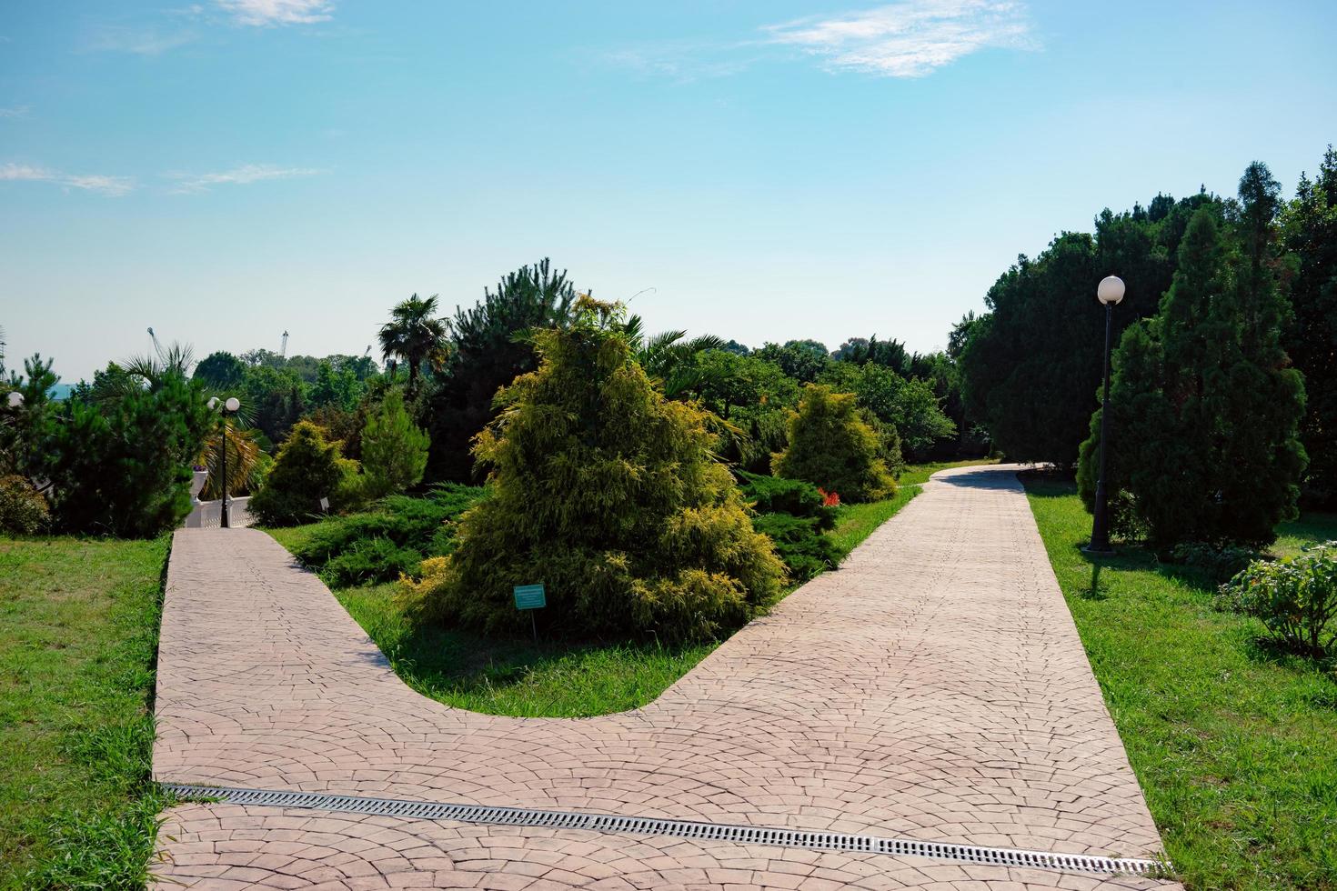 Acera de ladrillo y árboles con un nublado cielo azul en el parque de las culturas del sur en Sochi, Rusia foto