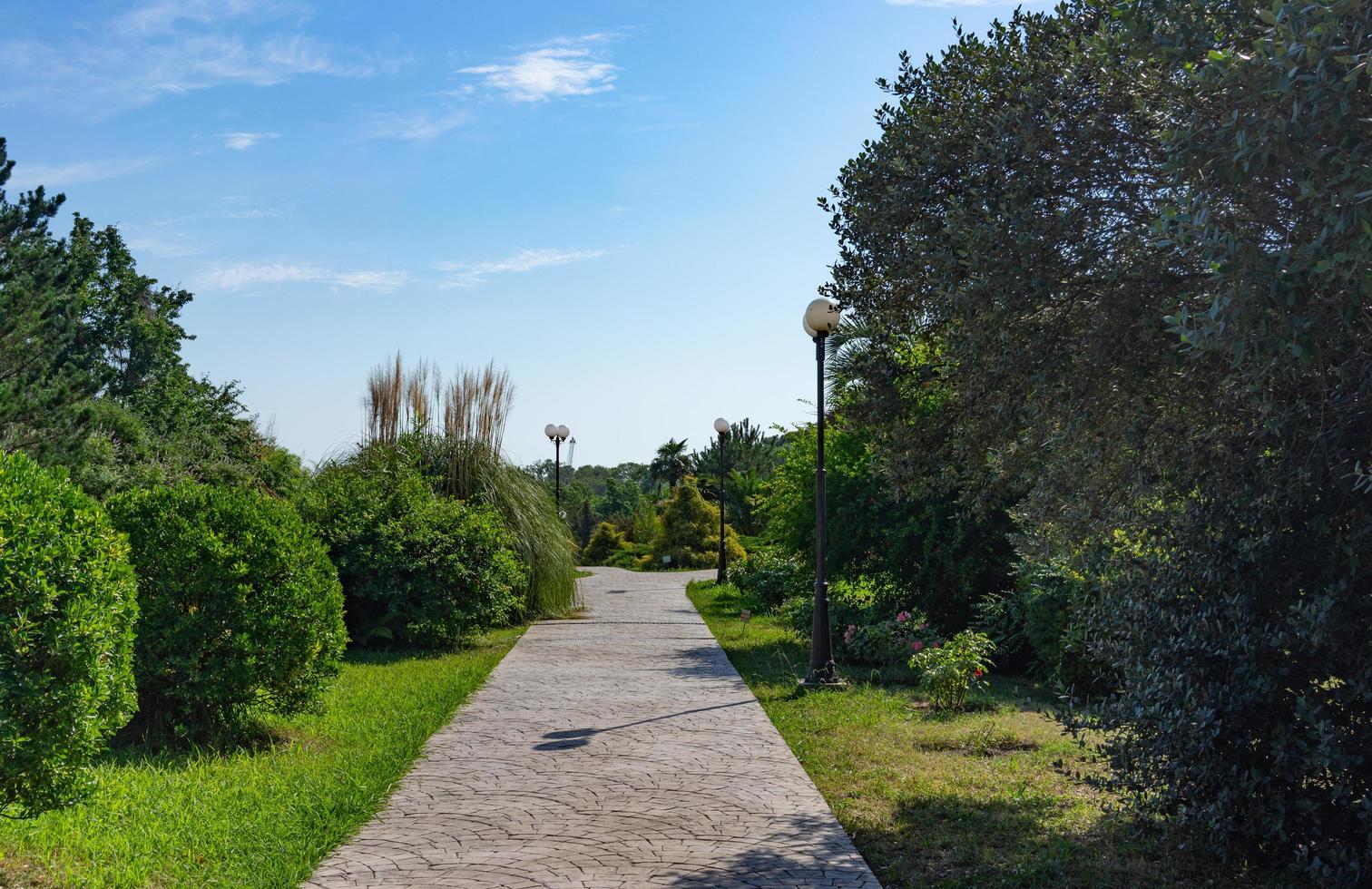 Brick sidewalk and trees with a cloudy blue sky at the Park of Southern Cultures in Sochi, Russia photo