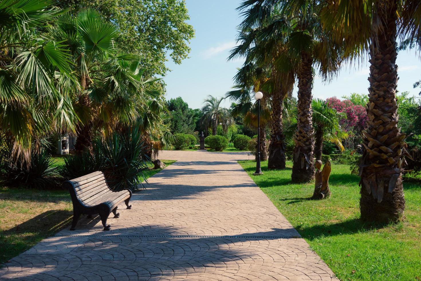 Acera de ladrillo y árboles con un nublado cielo azul en el parque de las culturas del sur en Sochi, Rusia foto