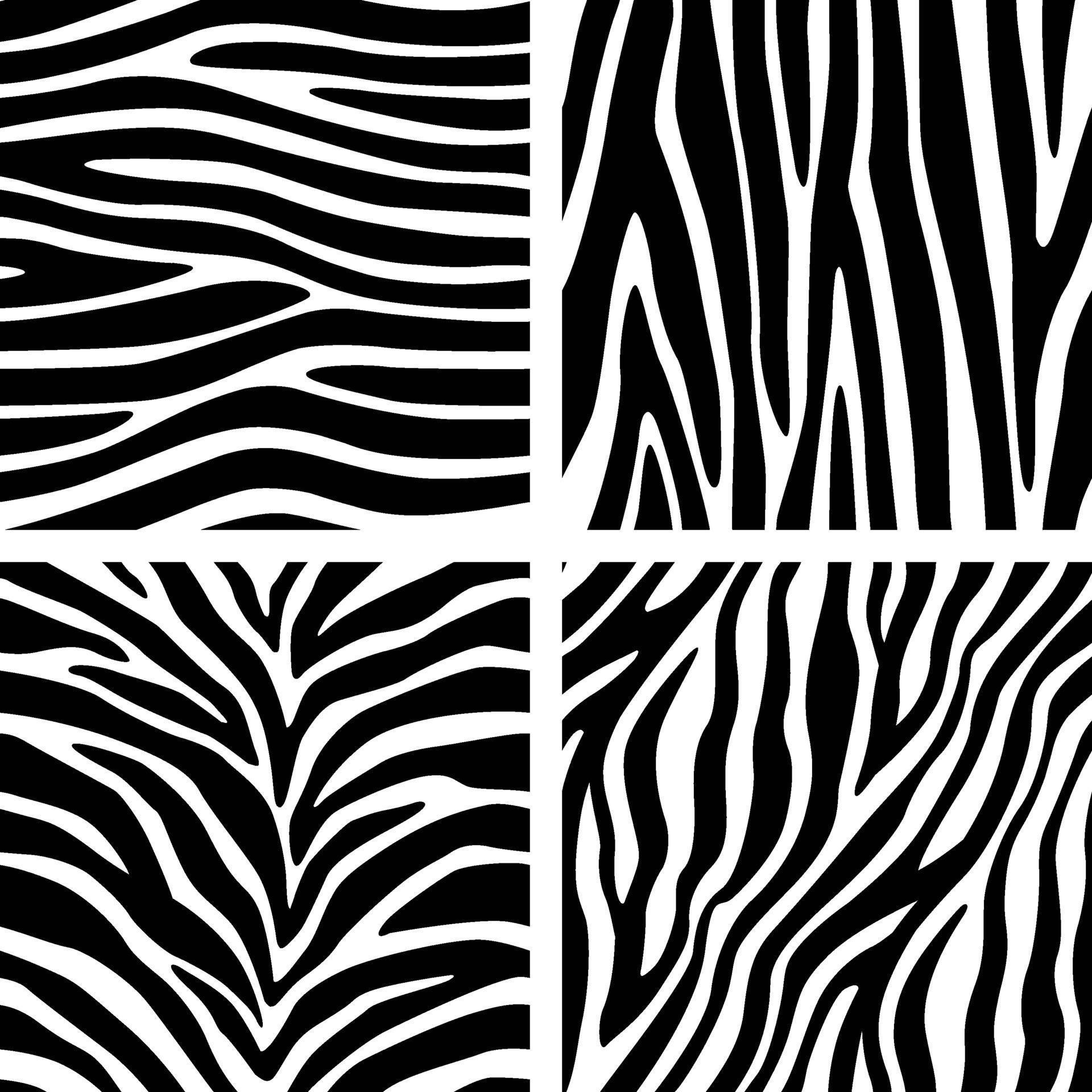 Zebra Skin Lines Pattern Print Animal Stripes Background set 2276230