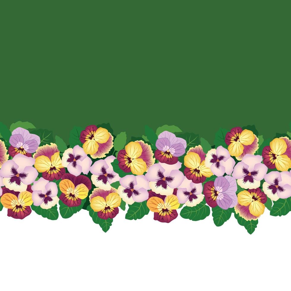 patrón floral de la frontera sin costuras. Fondo de flor de heartsease. decoración floral sin fisuras con flores. florecer papel tapiz de azulejos vector