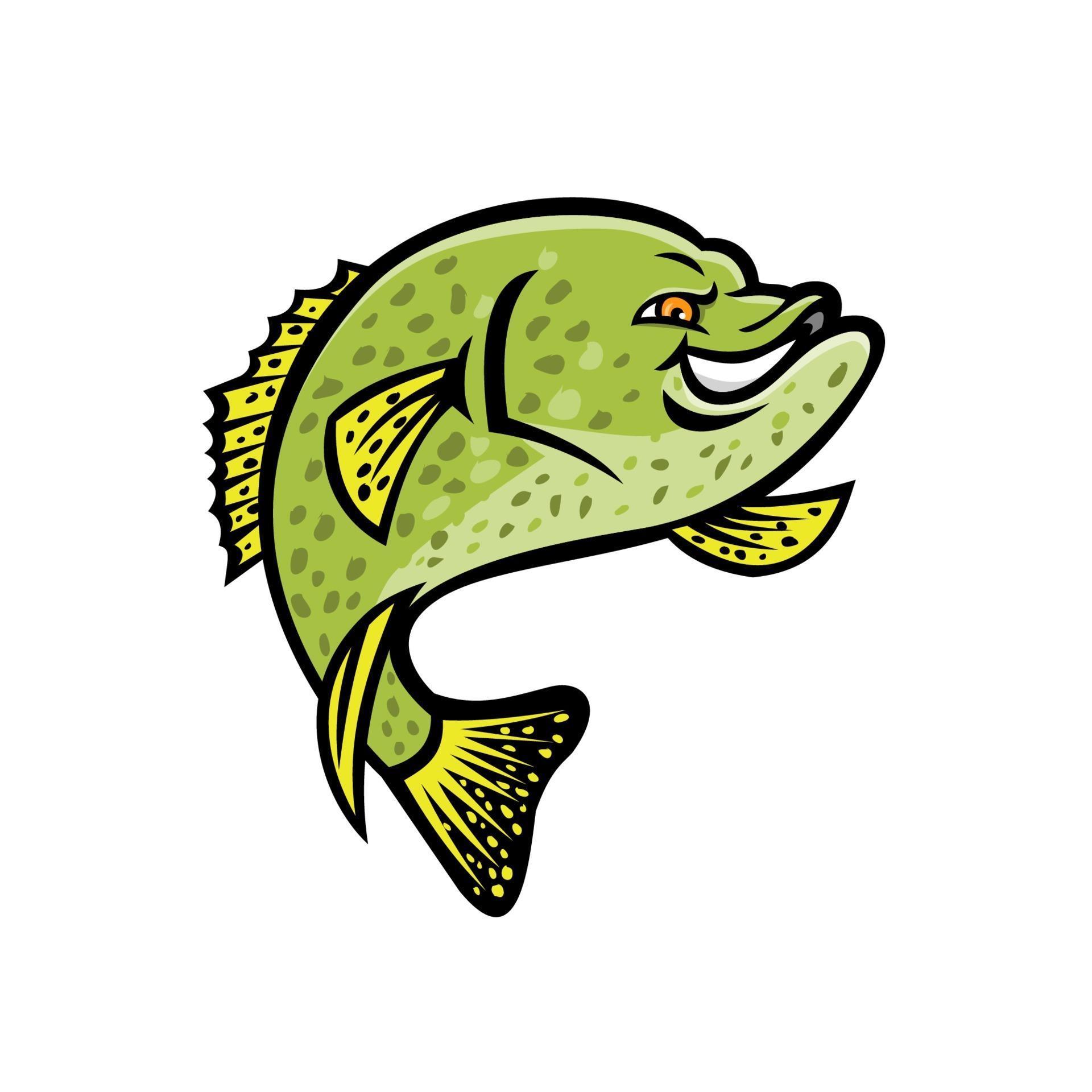 Download crappie fish color 2276449 Vector Art at Vecteezy