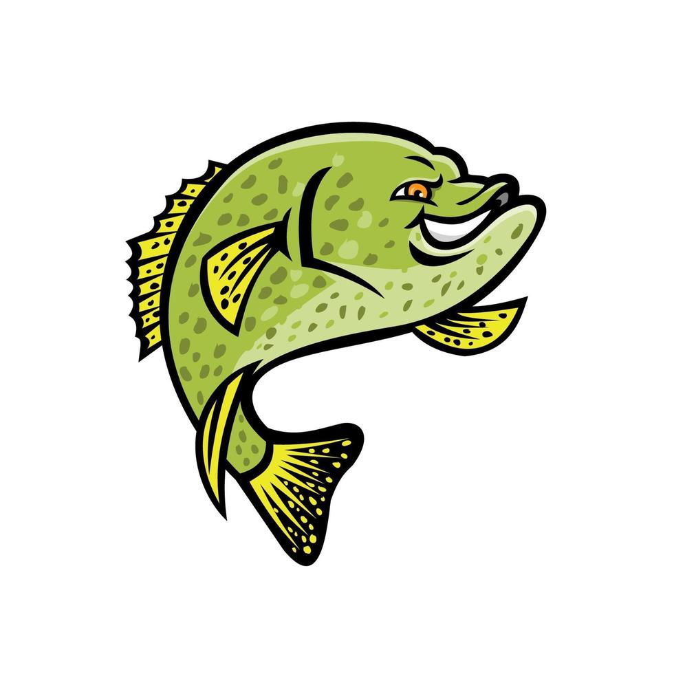 crappie fish color vector