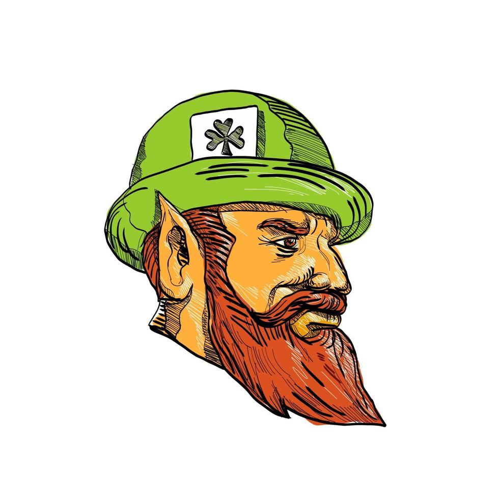 Leprechaun Head Side Drawing vector