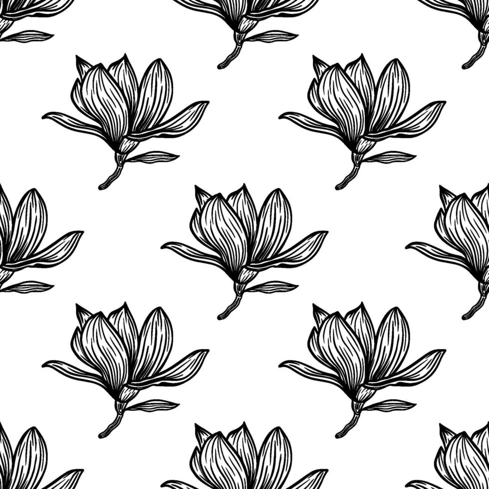 Pattern seamless with black magnolia outline. Spring flowers hand drawn vector illustration. Black and white with line art on white backgrounds