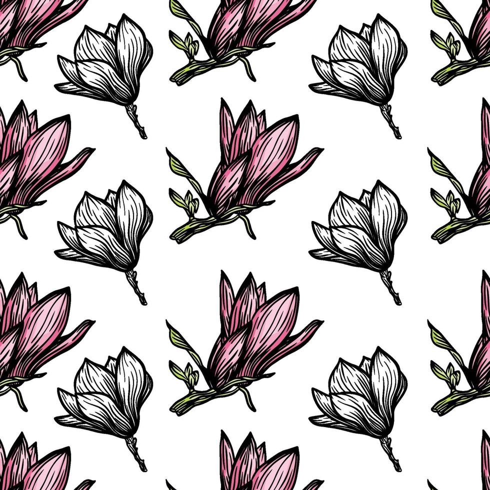 Pattern seamless with black magnolia outline. Spring flower hand drawn vector illustration. Black and white with line art on white backgrounds