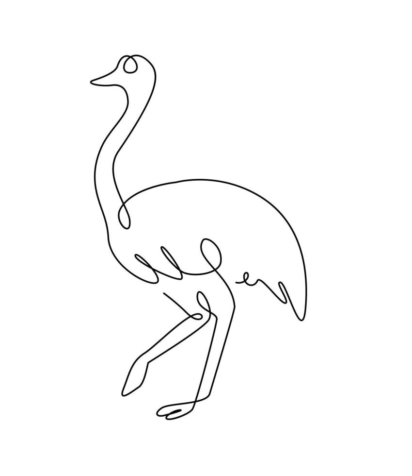 arte lineal emu. pájaro emú de australia en estilo de contorno. avestruz una línea. vector línea continua.