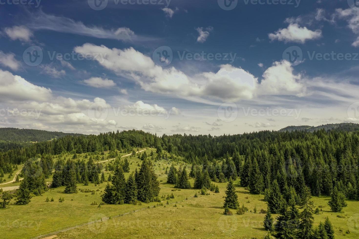 vista aérea en el bosque de montaña en un día de verano foto
