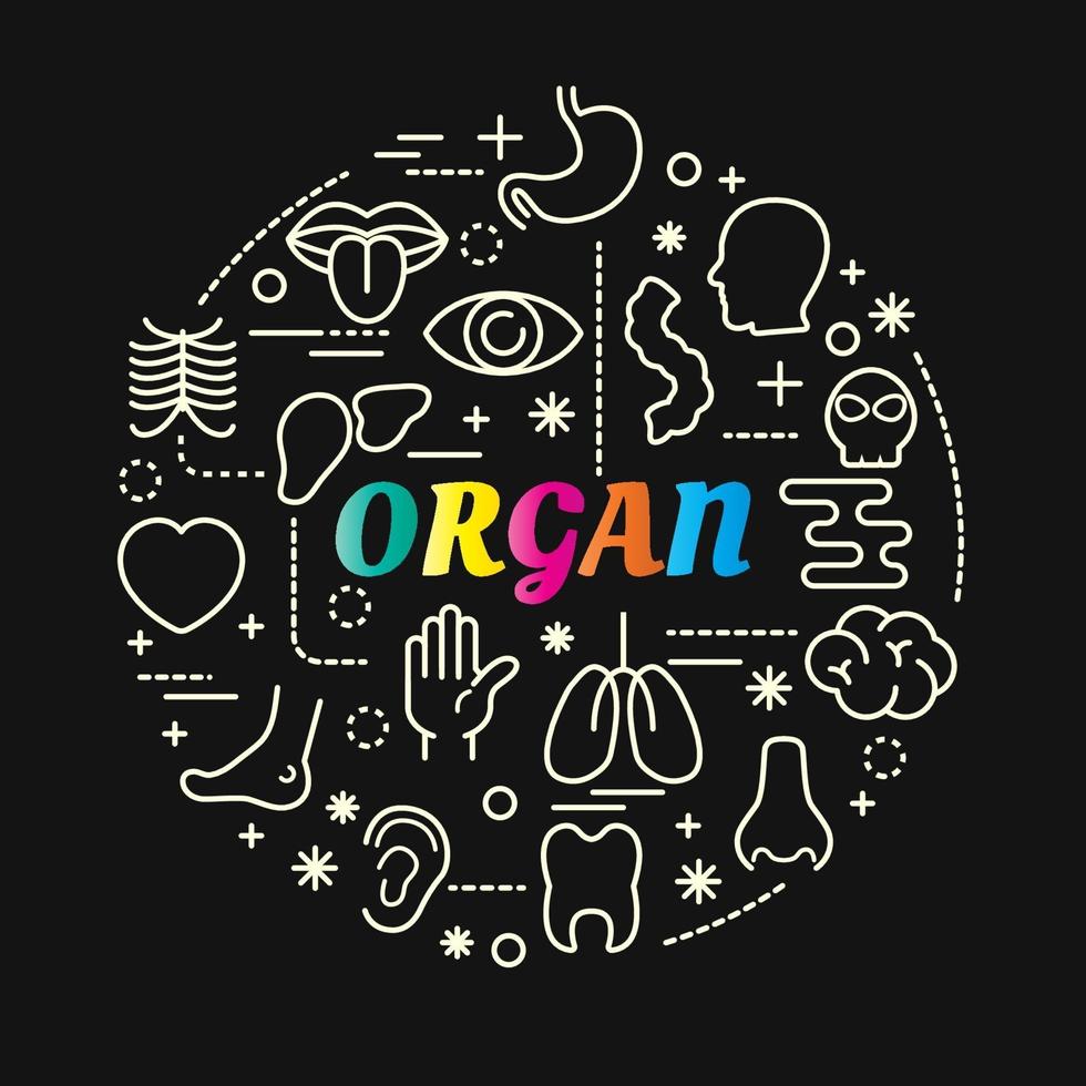 organs colorful gradient lettering with icon set vector