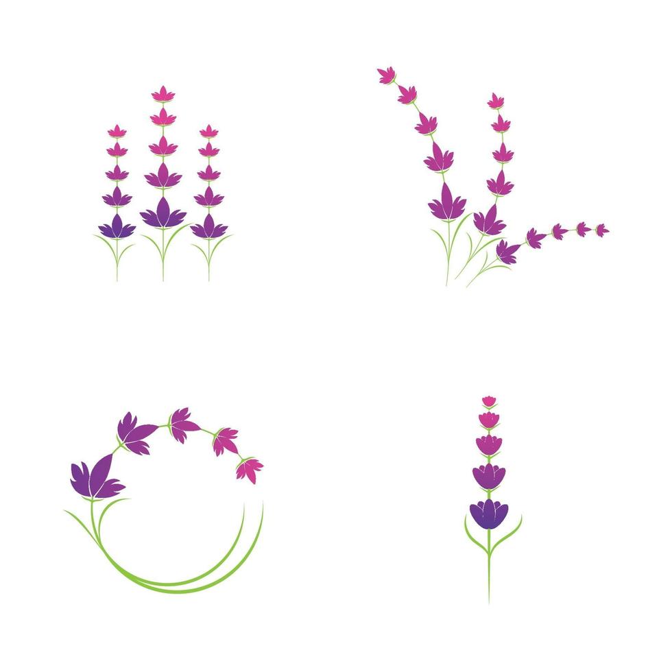 plantilla de símbolo de logotipo de flor de lavanda vector