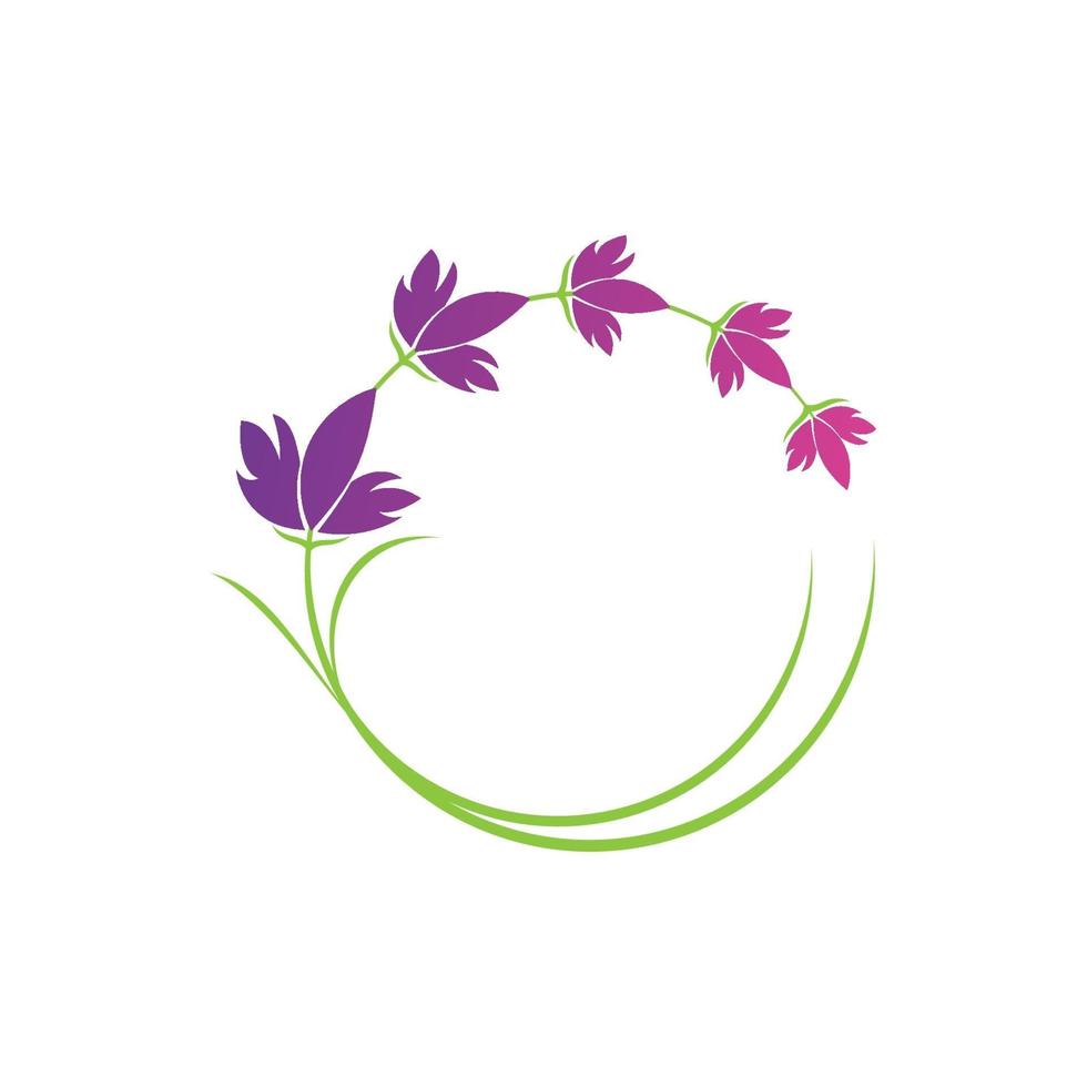 plantilla de símbolo de logotipo de flor de lavanda vector