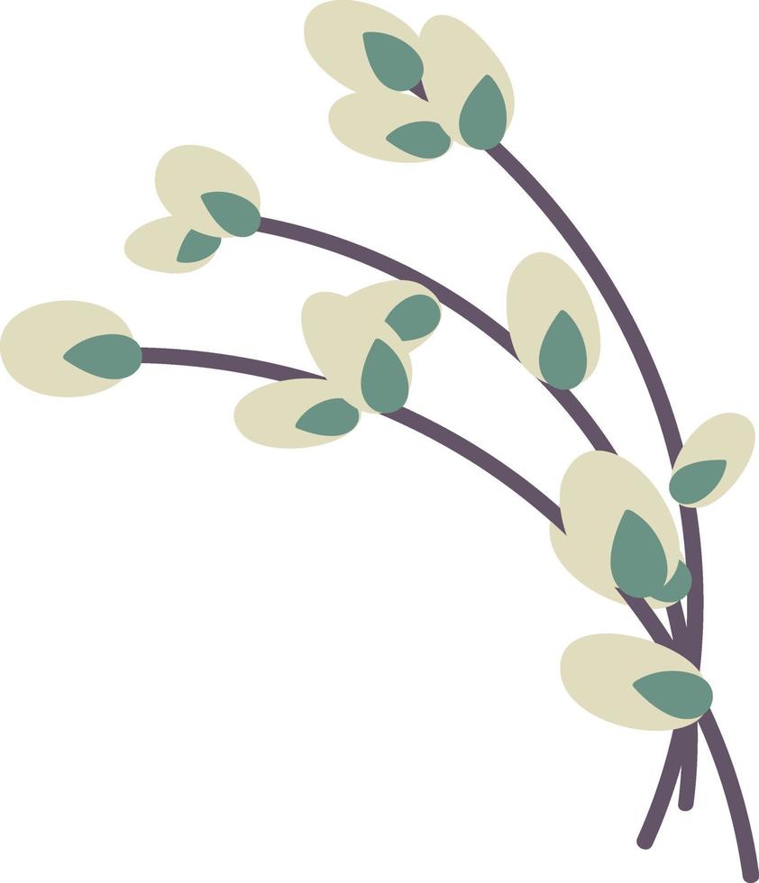 Willow twig isolated on a white background. Easter willow.Flat vector illustration. Design for Easter, packaging
