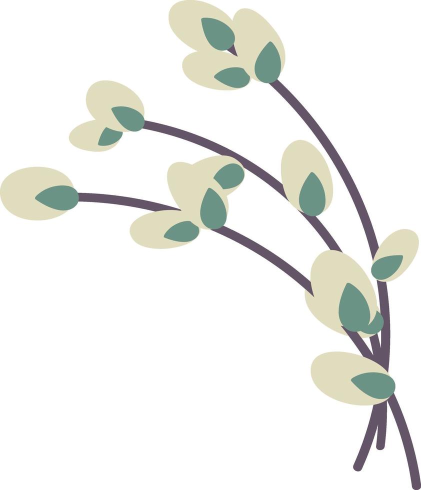 Willow twig isolated on a white background. Easter willow.Flat vector illustration. Design for Easter, packaging